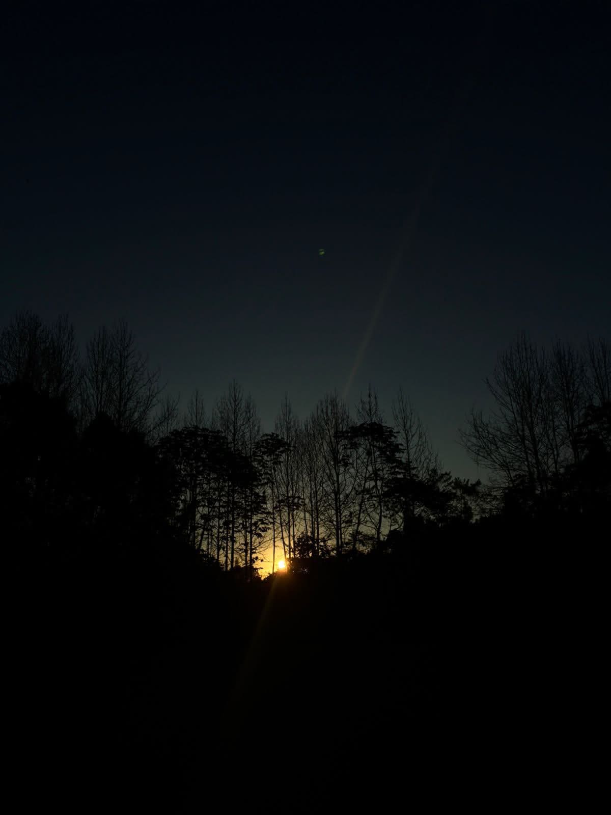 Hoguera nocturna
